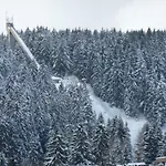 Leo * Schönwalde